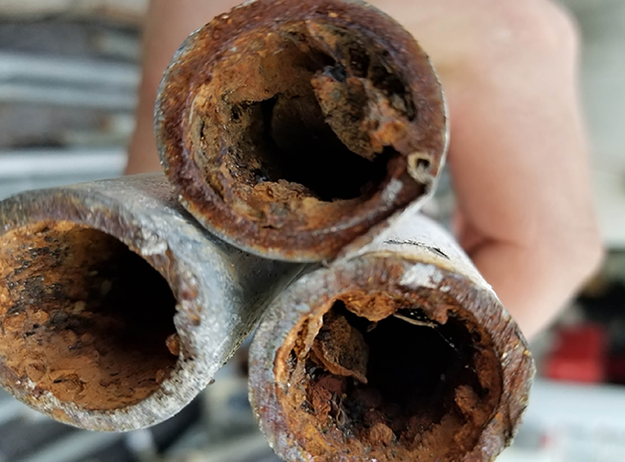 The Longevity of Copper Piping
